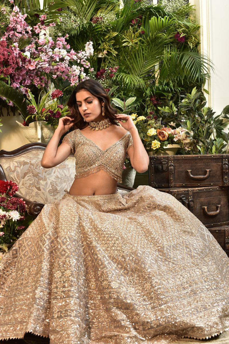 Warm Grey Lehenga Set